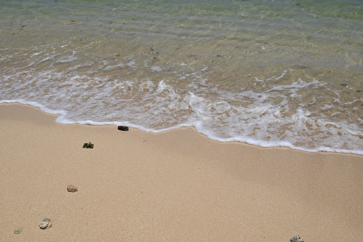 Ахтопол уникална природа плаж море планина бунгала почивка